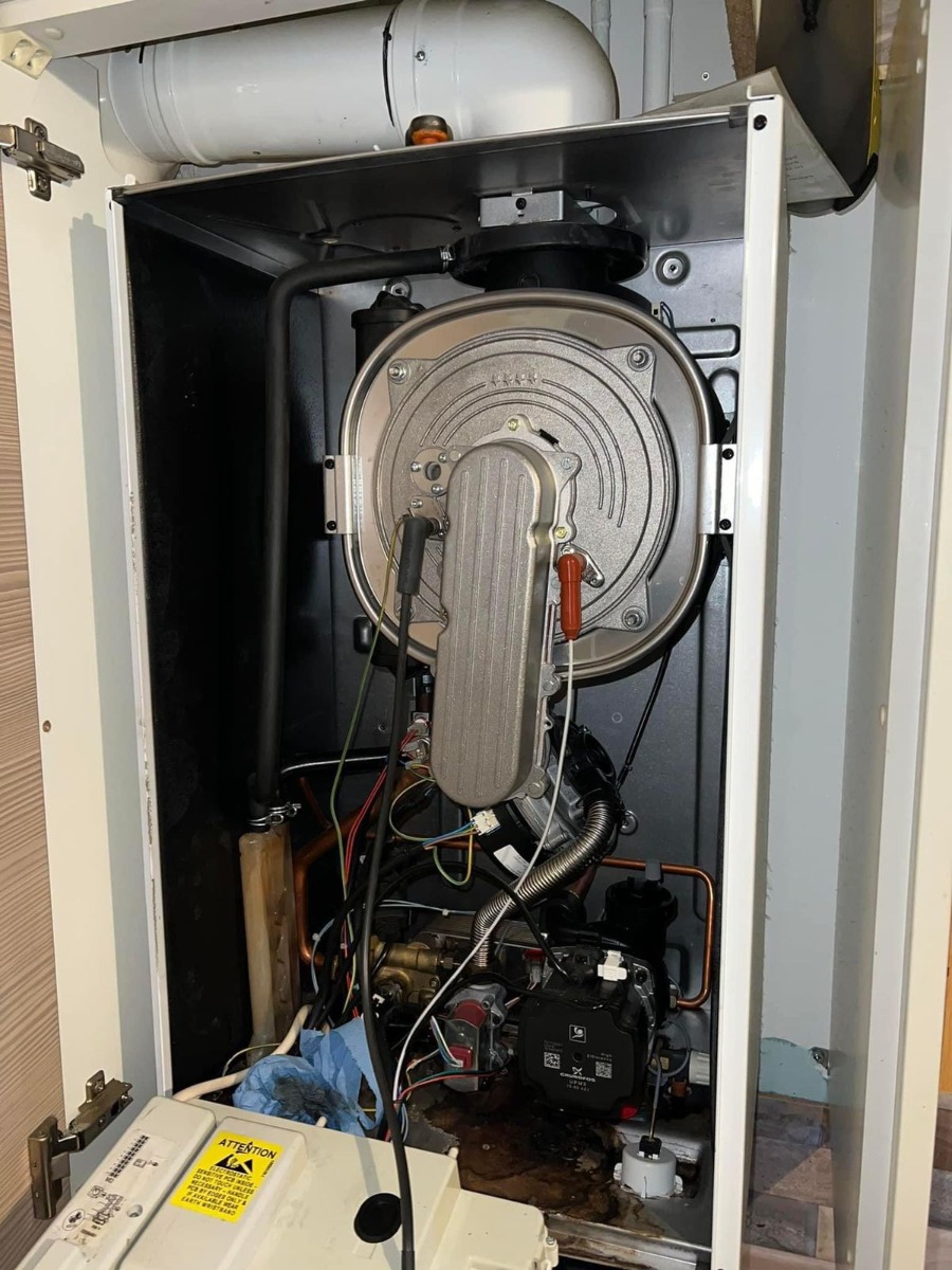 Company: Image 127